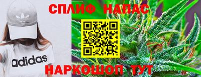мдпв Пугачёв