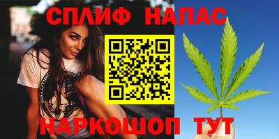 мдпв Пугачёв